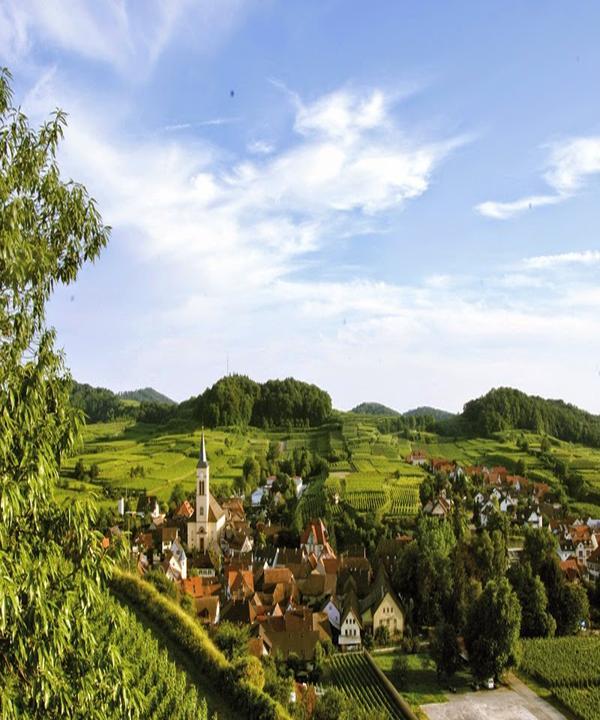 Weingut Freiherr von Gleichenstein