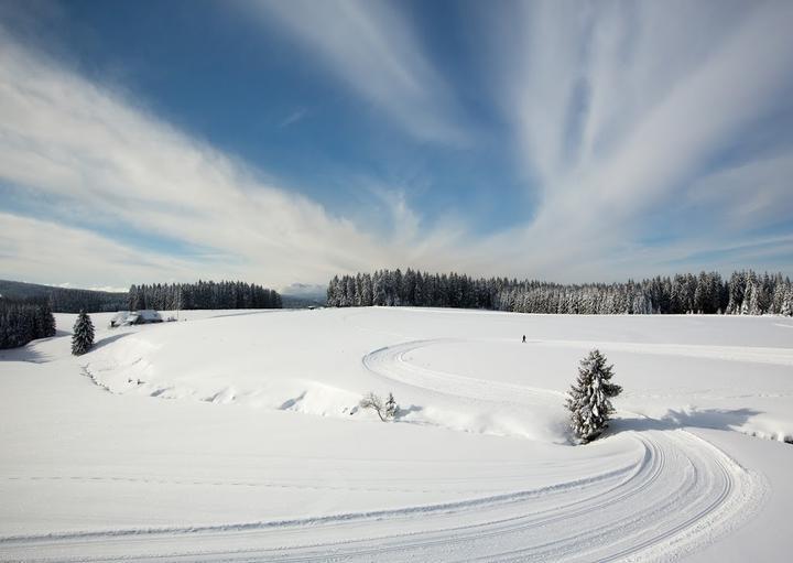 Gasthof Zum Hirschen