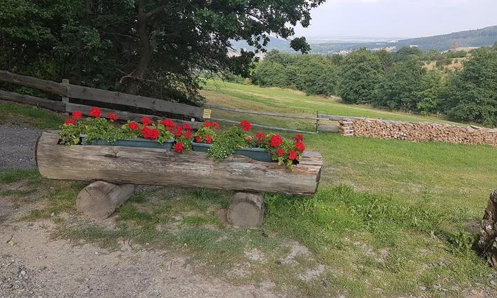 Steinberg Alm Zum Rosner